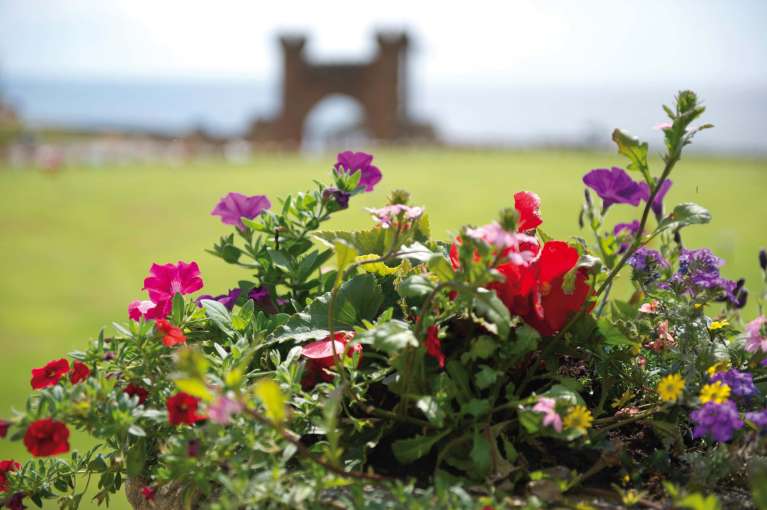 Belmont Hotel Gardens